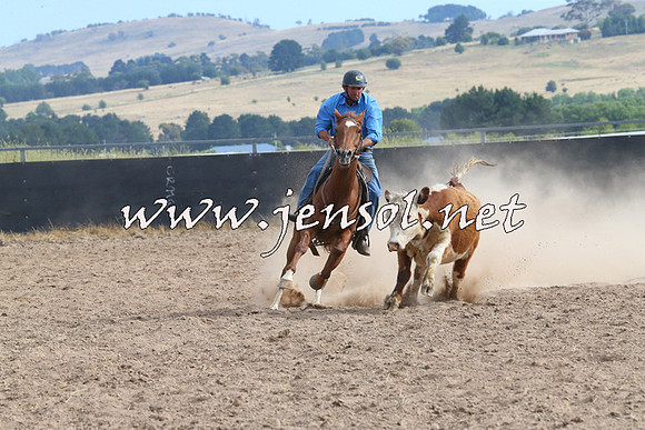 BraidwoodCampdraft2014_1622