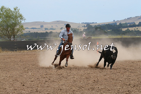 BraidwoodCampdraft2014_1442