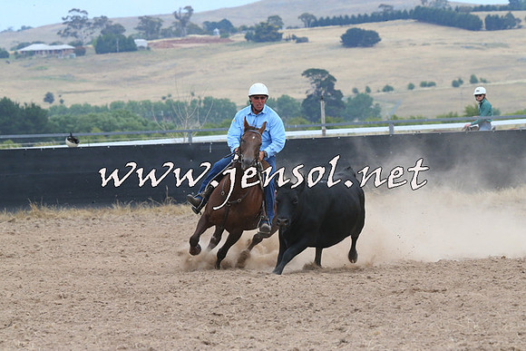 BraidwoodCampdraft2014_1435