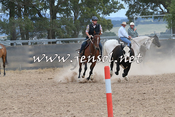 BraidwoodCampdraft2014_1461