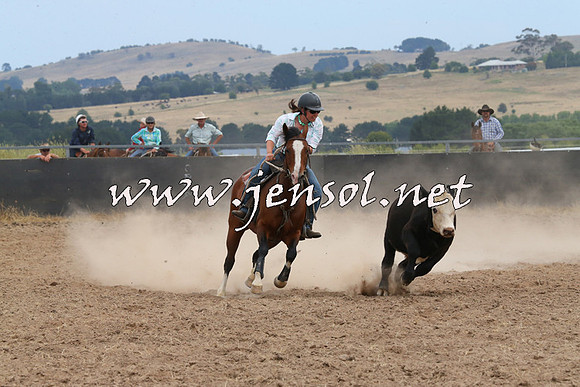 BraidwoodCampdraft2014_1381