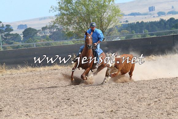 BraidwoodCampdraft2014_1634