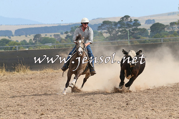 BraidwoodCampdraft2014_1644