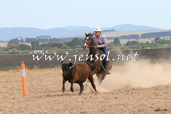 BraidwoodCampdraft2014_1565