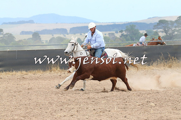 BraidwoodCampdraft2014_1398