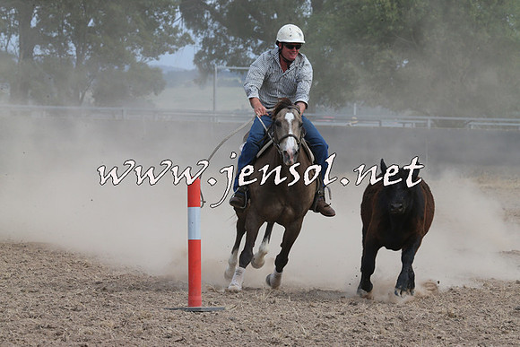 BraidwoodCampdraft2014_1549