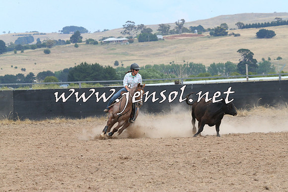BraidwoodCampdraft2014_1373