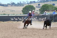 BraidwoodCampdraft2014_1320