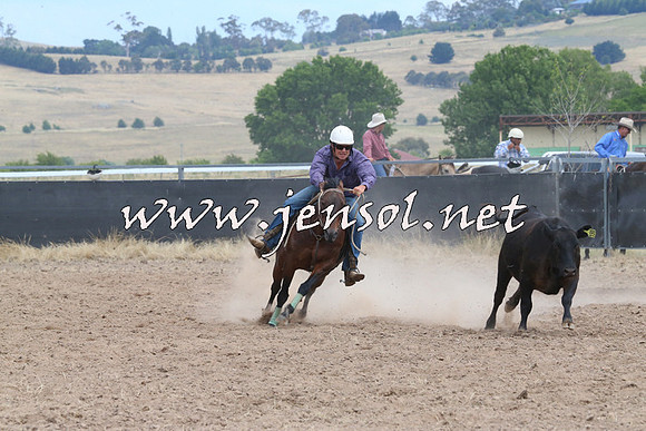 BraidwoodCampdraft2014_1320