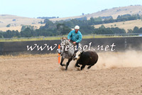 BraidwoodCampdraft2014_1340