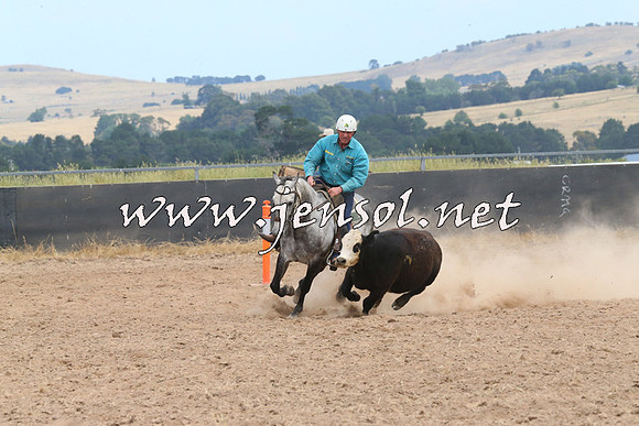 BraidwoodCampdraft2014_1340