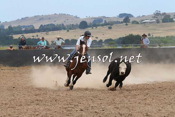 BraidwoodCampdraft2014_1382