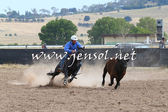 BraidwoodCampdraft2014_1520
