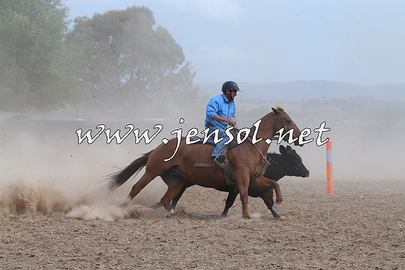 BraidwoodCampdraft2014_1555