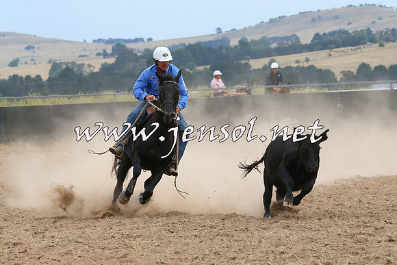 BraidwoodCampdraft2014_1409