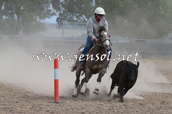 BraidwoodCampdraft2014_1548