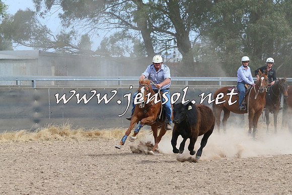 BraidwoodCampdraft2014_1530