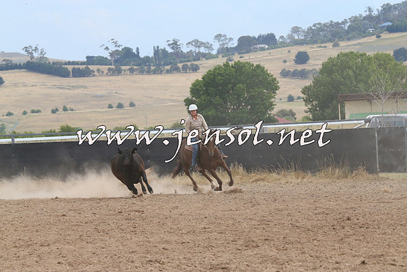 BraidwoodCampdraft2014_1490