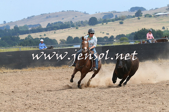 BraidwoodCampdraft2014_1495