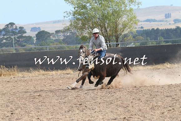 BraidwoodCampdraft2014_1642