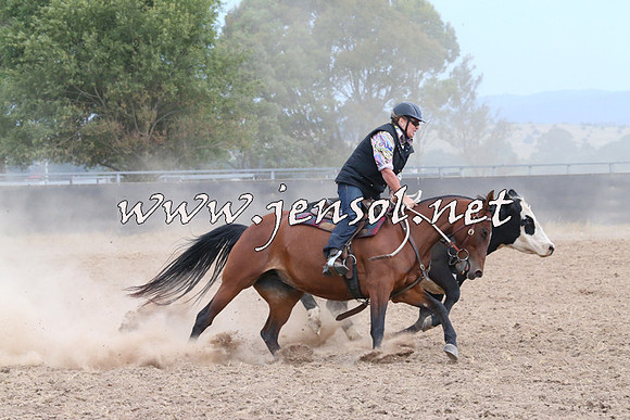 BraidwoodCampdraft2014_1470