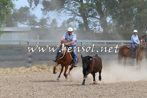 BraidwoodCampdraft2014_1528