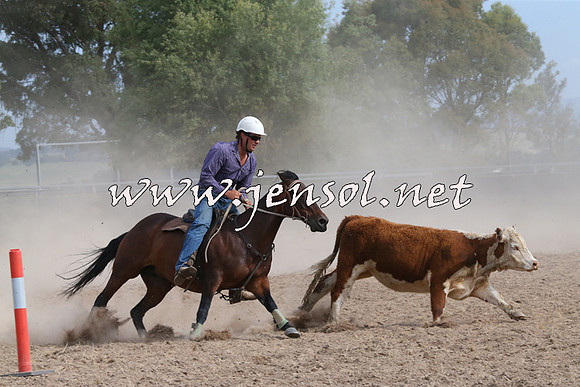 BraidwoodCampdraft2014_1615