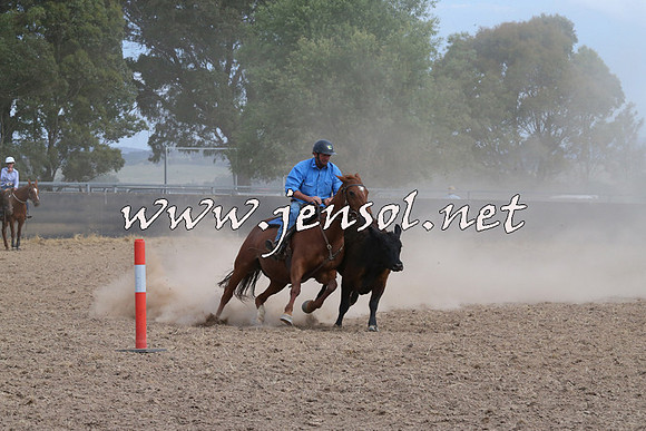 BraidwoodCampdraft2014_1557