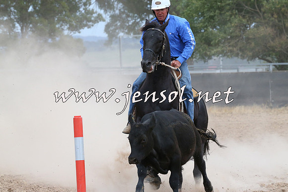 BraidwoodCampdraft2014_1418