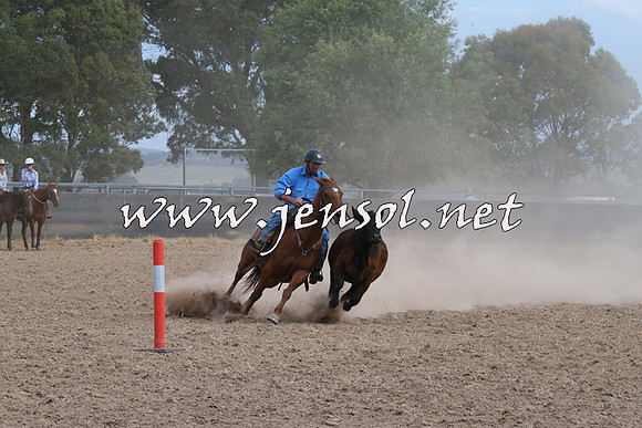 BraidwoodCampdraft2014_1559