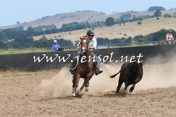 BraidwoodCampdraft2014_1497