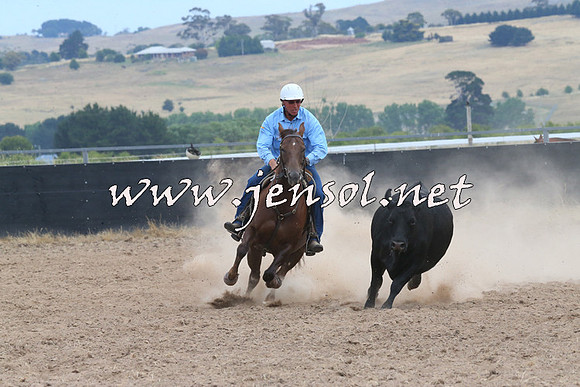BraidwoodCampdraft2014_1432