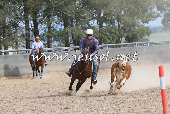BraidwoodCampdraft2014_1608