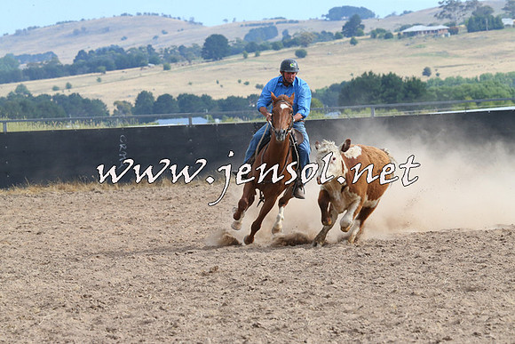 BraidwoodCampdraft2014_1626