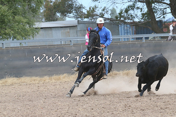 BraidwoodCampdraft2014_1413