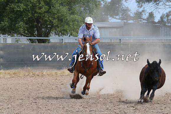 BraidwoodCampdraft2014_1532