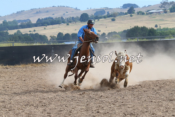 BraidwoodCampdraft2014_1621