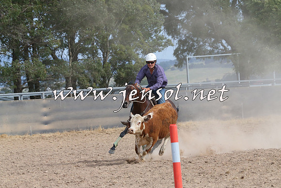 BraidwoodCampdraft2014_1611