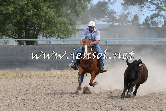 BraidwoodCampdraft2014_1534