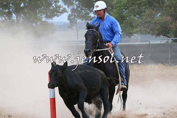 BraidwoodCampdraft2014_1416