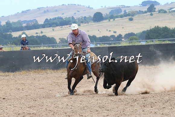 BraidwoodCampdraft2014_1422