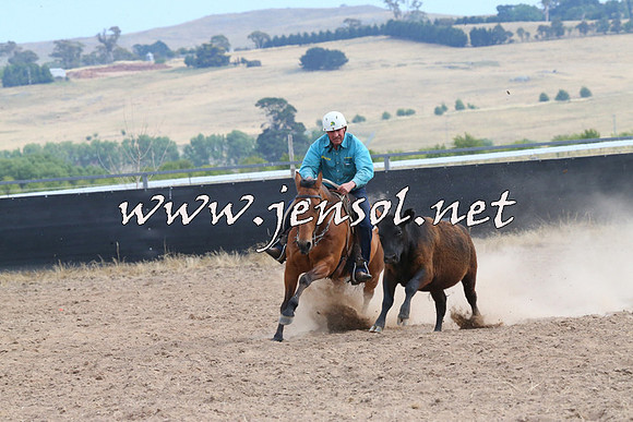 BraidwoodCampdraft2014_1572