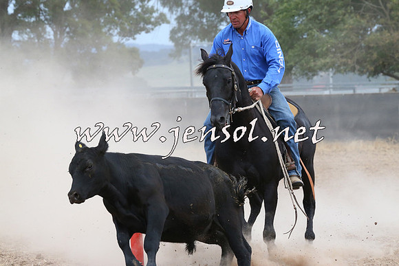 BraidwoodCampdraft2014_1415