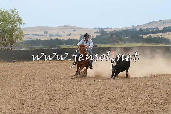 BraidwoodCampdraft2014_1447