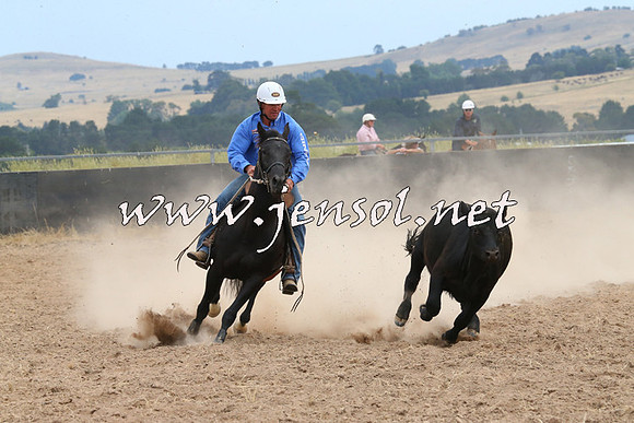 BraidwoodCampdraft2014_1408