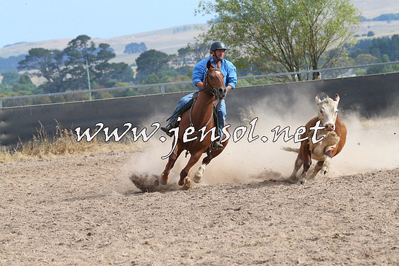 BraidwoodCampdraft2014_1637