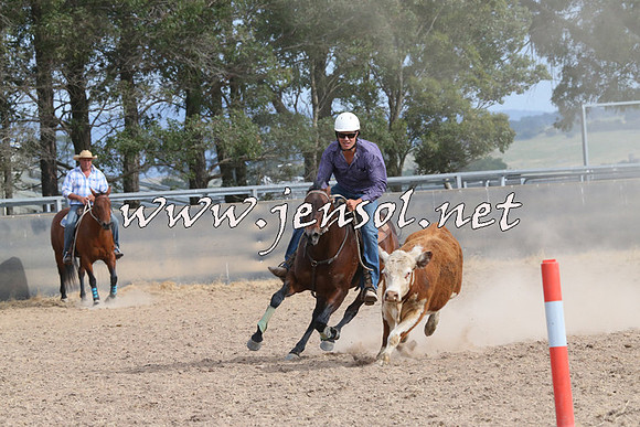 BraidwoodCampdraft2014_1612