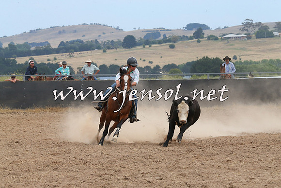 BraidwoodCampdraft2014_1383