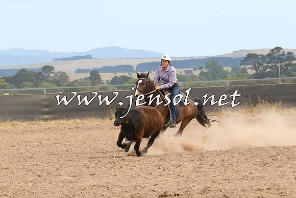 BraidwoodCampdraft2014_1564