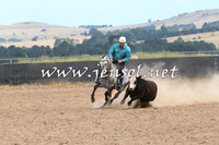 BraidwoodCampdraft2014_1339